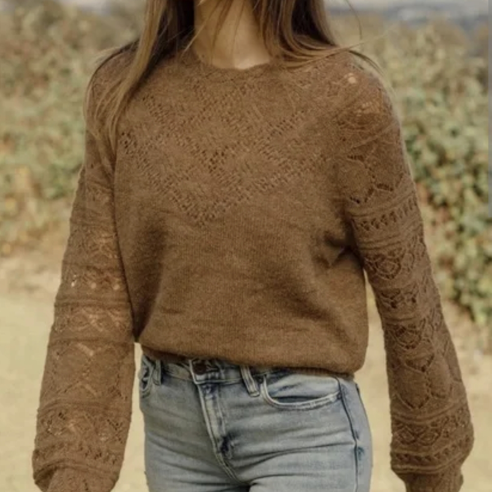 Elegant Brown Knit Sweater